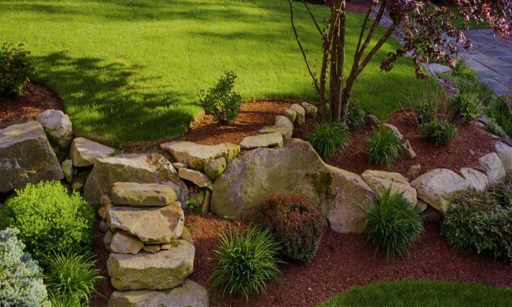 How To Enjoy a Stunning Healthy Landscape All Year Round
