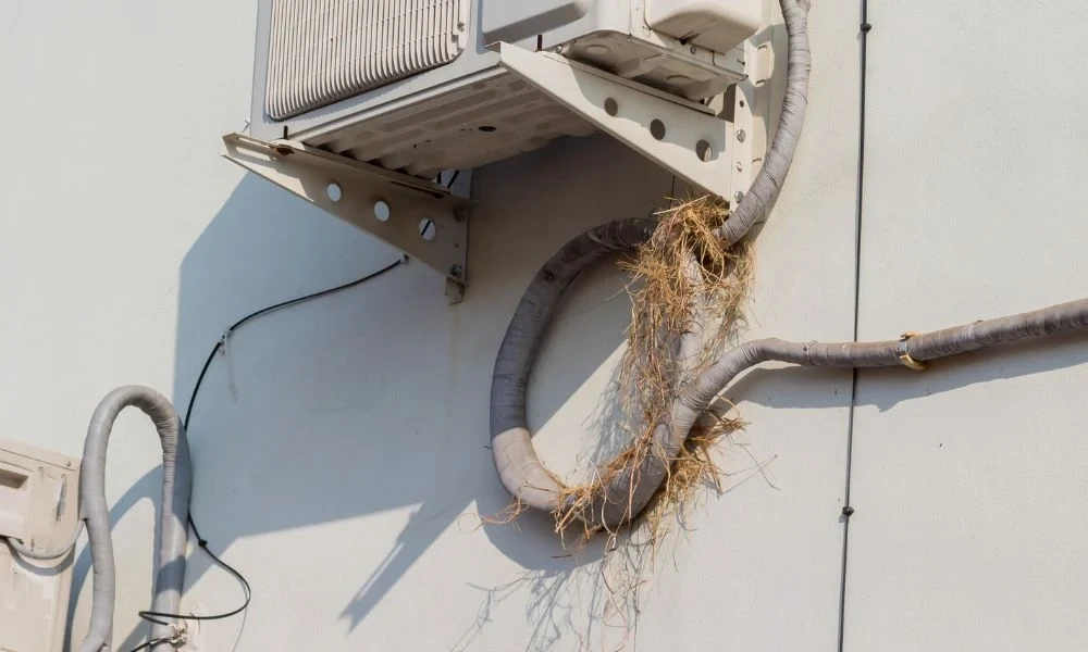 How Do Wasps And Insects Damage Outdoor AC Units?